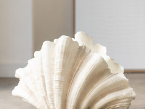 Decoratie schelp J-Line