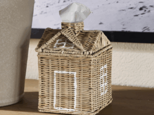 Rustic Rattan House Tissue Box